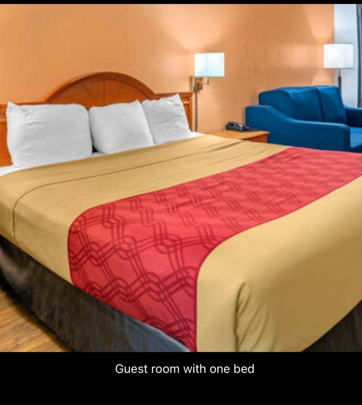 אלבני Econolodge Inn & Suites מראה חיצוני תמונה