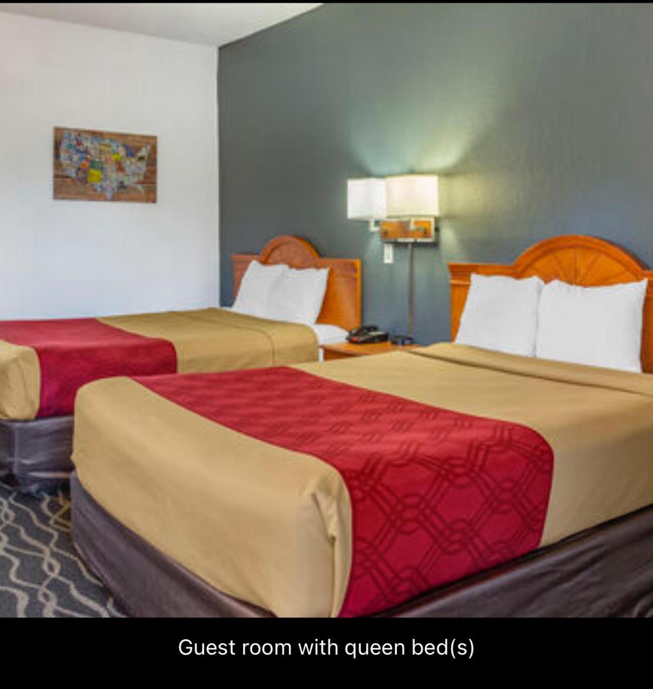 אלבני Econolodge Inn & Suites מראה חיצוני תמונה