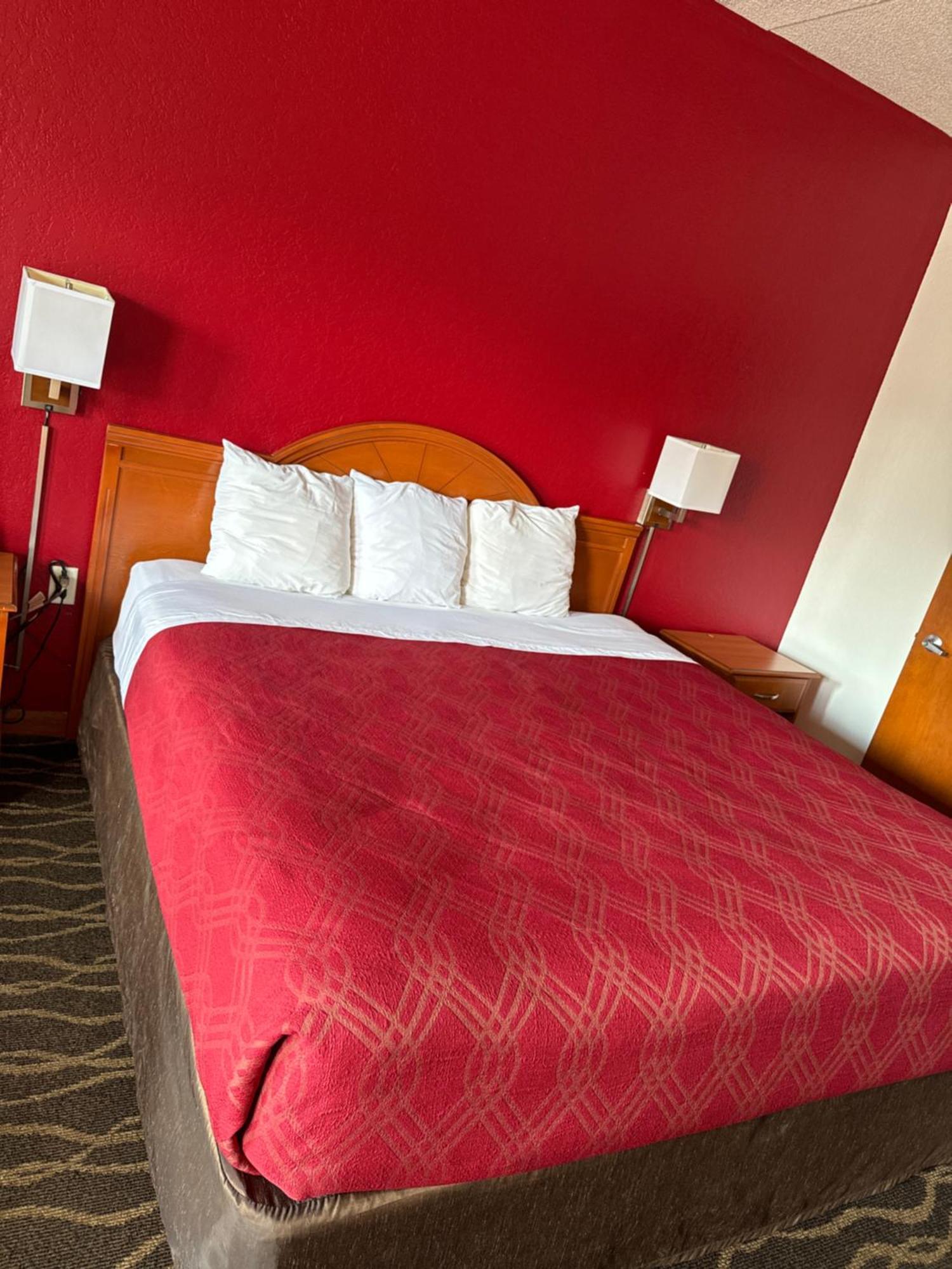 אלבני Econolodge Inn & Suites מראה חיצוני תמונה