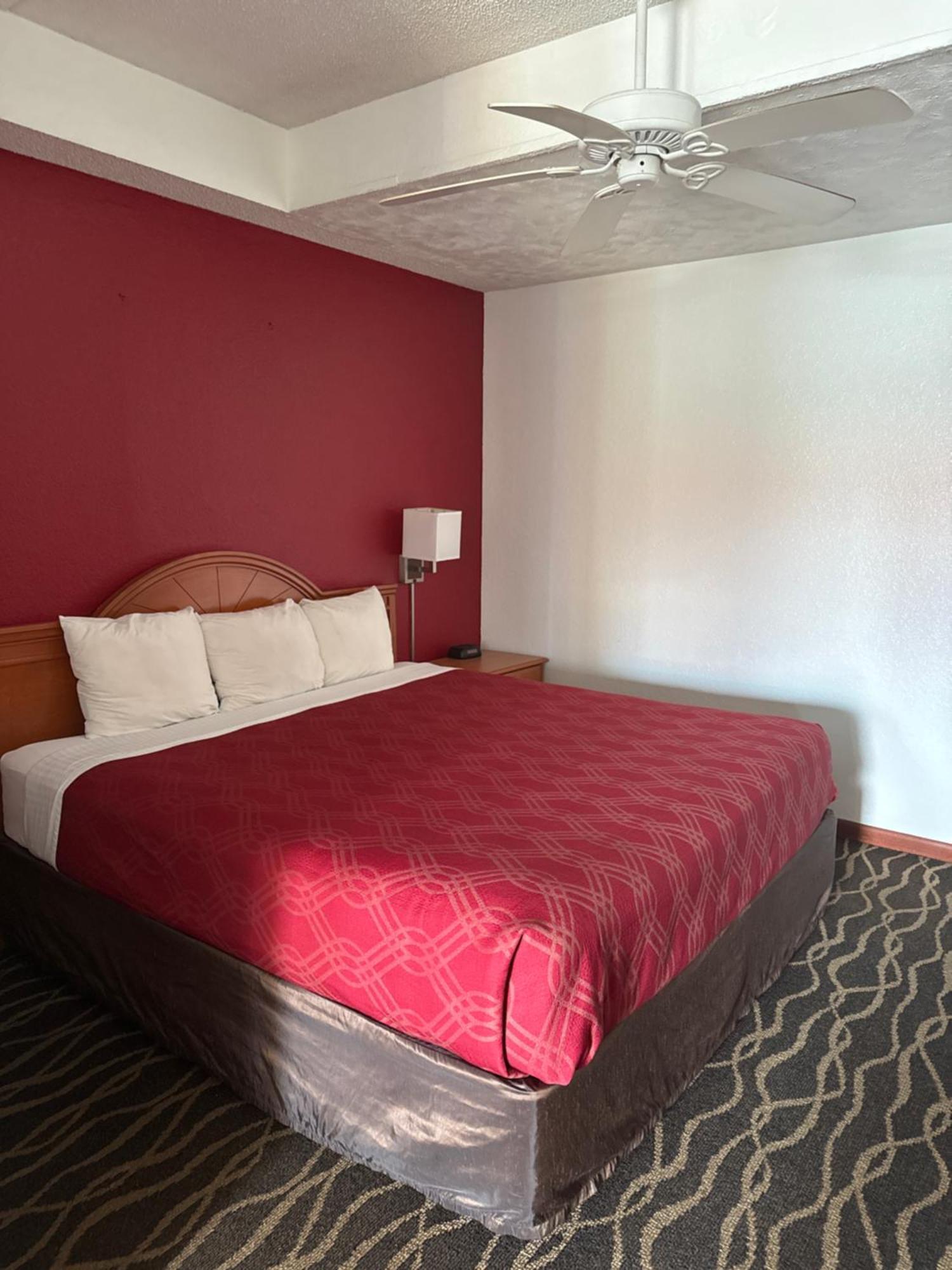 אלבני Econolodge Inn & Suites מראה חיצוני תמונה